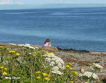 Point Roberts Beaches